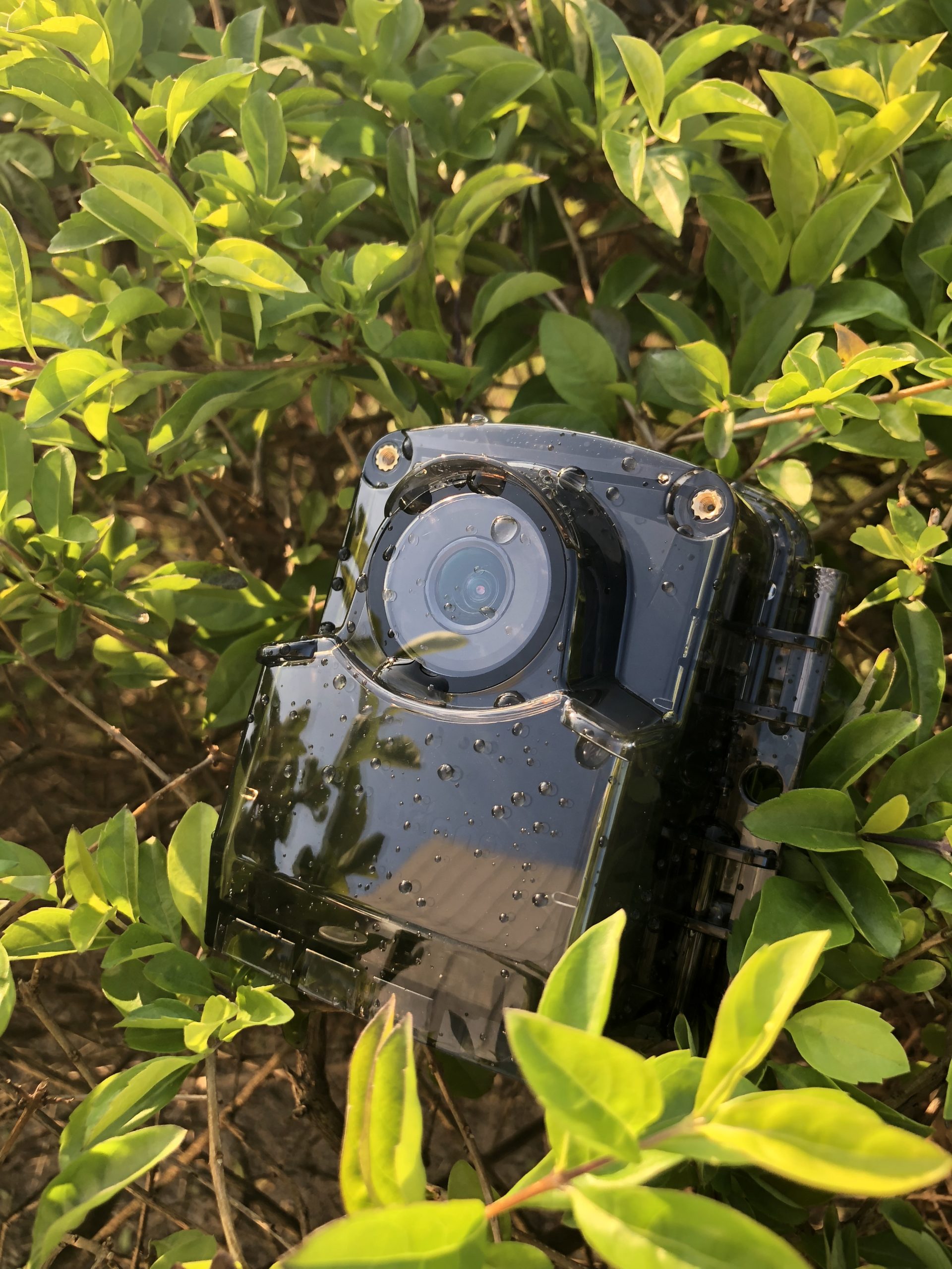 ATH1000 | ブリンノジャパン